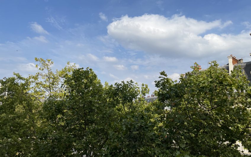 A vendre avenue Niel : 3 pièces au charme de l’ancien – Paris 17ème